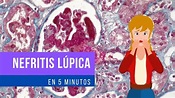 Nefritis Lúpica en 5 MINUTOS!!: Clasificación - YouTube