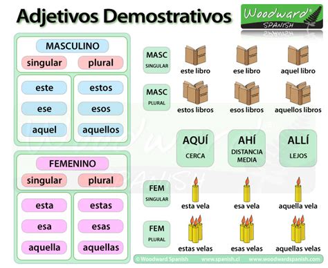 Lista De Todos Los Adjetivos En Español Mayoría Lista