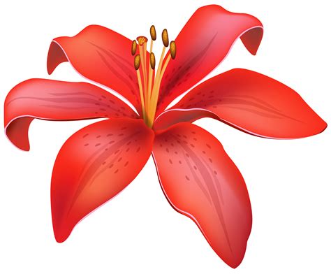 Red Lily Flower Clipart Web Png Clipartix