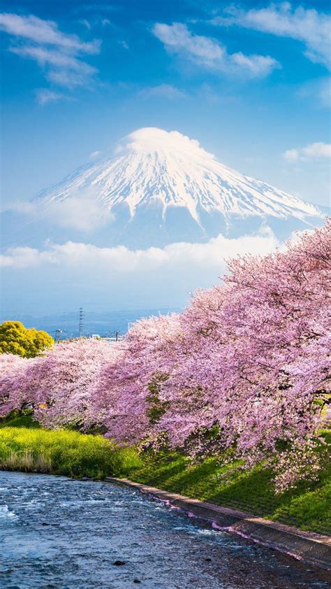 Japan Spring Wallpapers Top Free Japan Spring Backgrounds