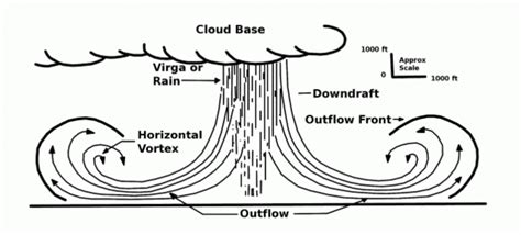 (meteorology) a powerful downward air current, especially one during a thunderstorm. Microburst Levels Thousands Of Trees In Easthampton, Ma ...