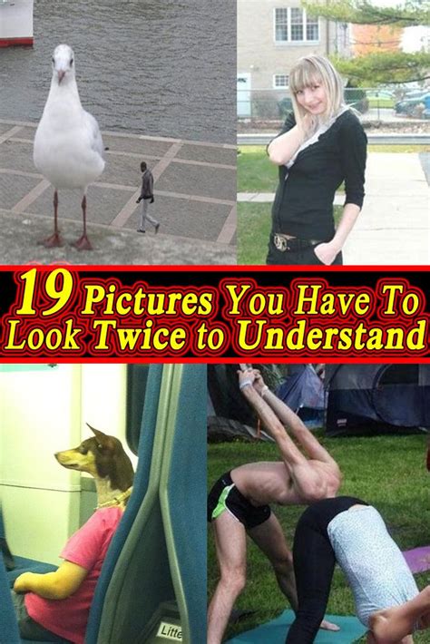 Funny Photos You Have To Look At Twice