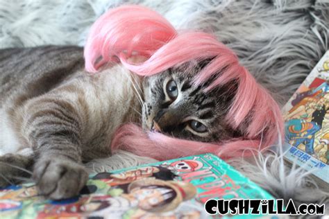Dog Wig Cat Wig Cushzilla Pink Anime Pet Wig
