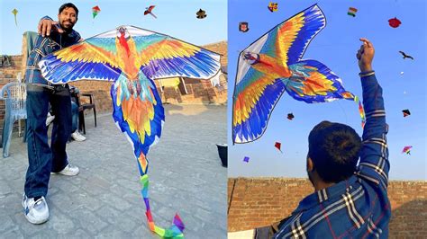 Toofani Patangbazz On Lohri Kite Fighting Lohri 2023 Flying Kites Patangbazi Singh