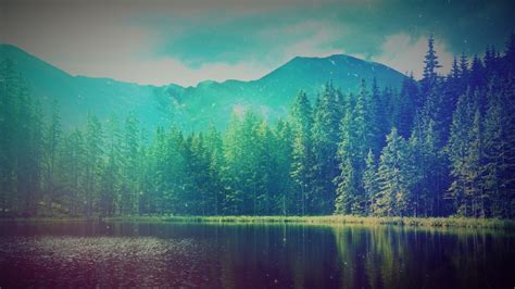 Wallpaper Water Lake Nature Cyan Forest Trees Landscape Sea