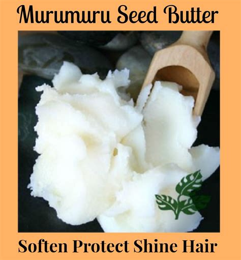 Murumuru Butter Pronounced Maa Roo Maa Roo Is Cold Pressed From The