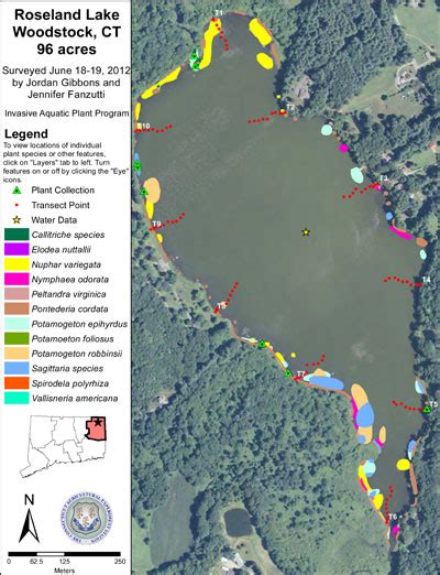 Roseland Lake Woodstock Ct Aquatic Plants