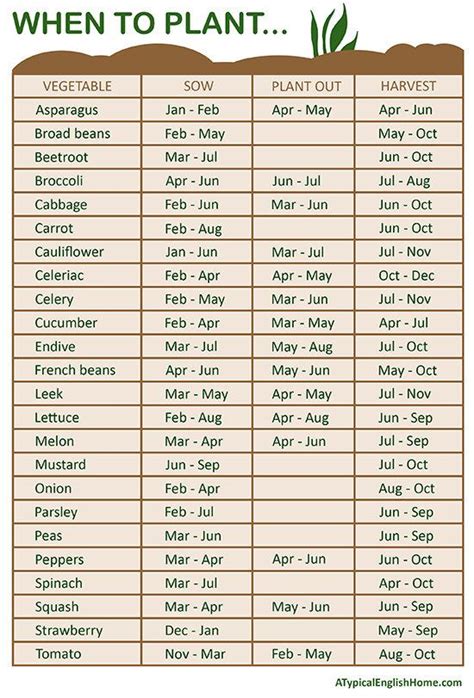 Figure Out When To Plant Your Seeds By The Month When To Plant