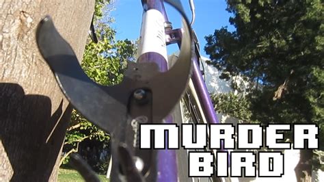This Cycling Accessory Can Kill You Pdw Bird Cage