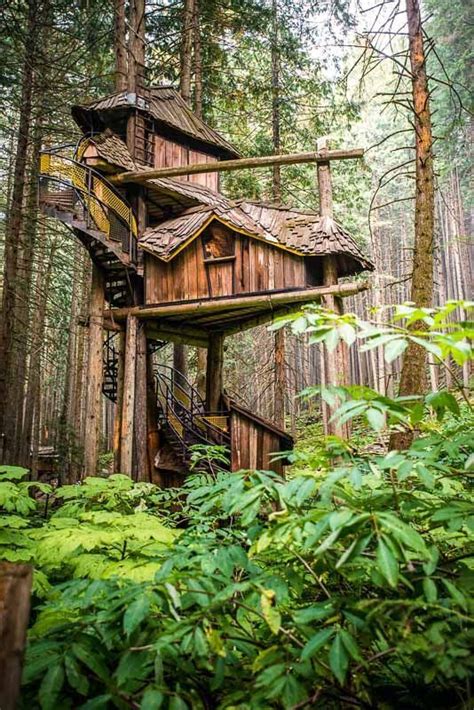 Bcs Tallest Grandest Tree House That Rises 50 Feet Into The Forest