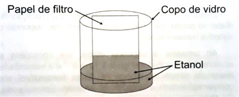 Um Experimento Simples Que Pode Ser Realizado