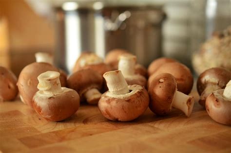 How To Freeze Mushrooms At Home Get That Right