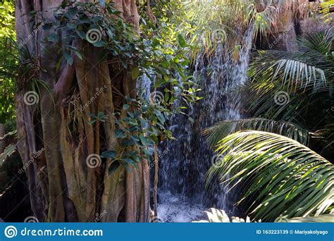 Waterfall In Tropical Forest In The Rays Of The Sun As A Backdrop Stock