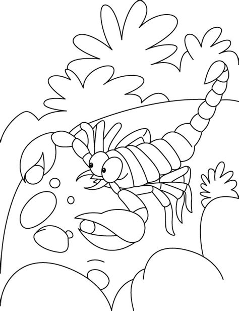 Color this magical creature with your child as he learns to write the upper and lowercase alphabets. Scorpion Coloring Pages - Preschool and Kindergarten
