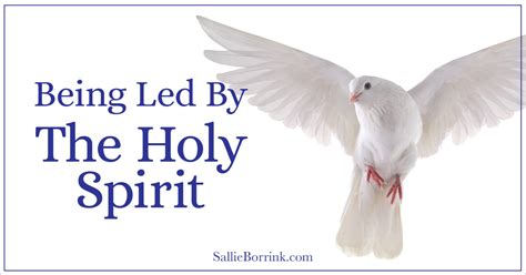 Being Led By The Holy Spirit A Quiet Simple Life With Sallie Borrink