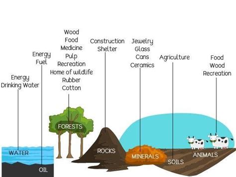 Types Natural Resources Overview Structure Properties And Uses