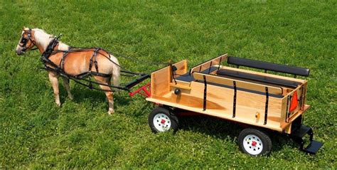 Pin By Ben Bruinius On Wagons Mini Horse Cart Horse Wagon Horse Cart