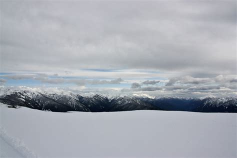 Hurricane Ridge Olympic Np Chris Tirello Flickr