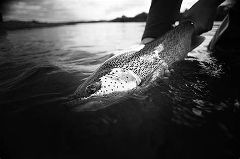 Tibor Nemeth Photography Its Simply Black And White Flyfishing