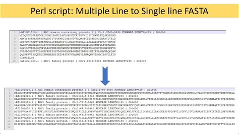 How To Covert Multi Line Fasta To Single Line Using Perl Single Line