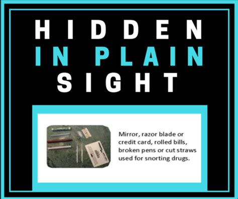 Hidden In Plain Sight — Walton County Prevention Coalition