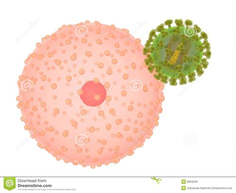 Virus Infected Cells Clipart 20 Free Cliparts Download Images On