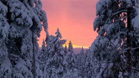 Sweden In Winter What To Do And Where To Go Nordic Visitor