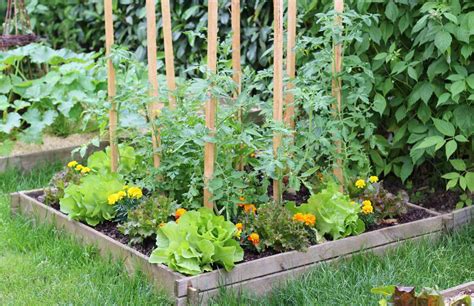 Why You Should Always Plant Flowers With Your Vegetables
