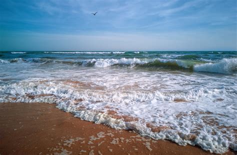 Free Images Sea Waves Shore Body Of Water Ocean
