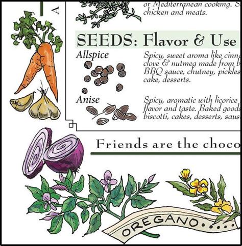 Downloadable Herbs Spice And Seeds Chart For Kitchen Etsy Spice