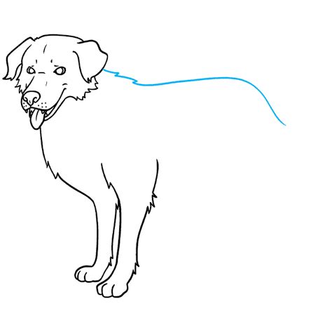 How To Draw A Realistic Dog Really Easy Drawing Tutorial