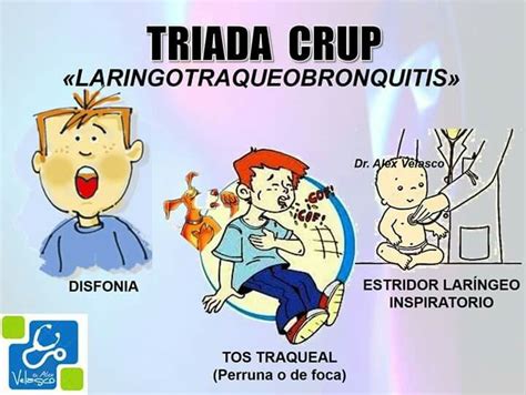 Laringotraqueobronquitis Laringotraqueobronquitis Medicina De