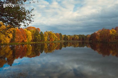 Autumn Landscape In Overcast Weather A Blue Lake And Autumn Yellow