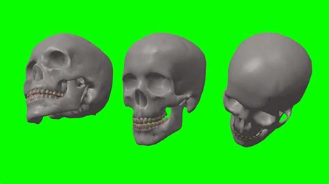 Skull Rotate And Loop Different Angles Green Screen Animation Youtube