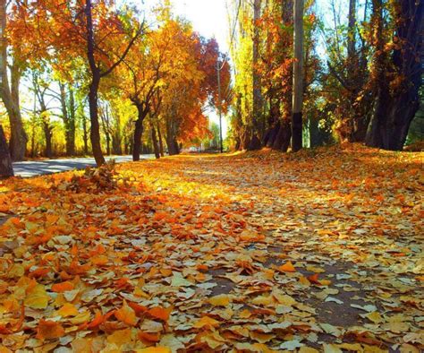 El tiempo en Mendoza: clima de otoño, con zonda y nevadas en cordillera - Mendoza Post