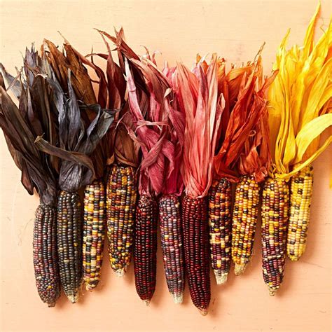 Corn husks are the outer covering of an ear of corn. Gorgeous DIY Fall Decorating with Corn Husks in 2020 ...