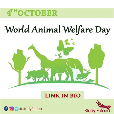 On This Day 4th October World Animal Welfare Day Is Observed Study