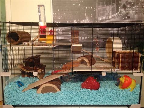 Oiibo Glass Hamster Cage With Big View 23 Gallon Large Hamster Cage