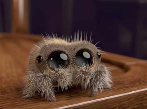The Cutest Spider We Ever Did See Watch Towleroad Gay News