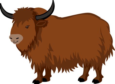 Yak Clipart Yakanimalclipart01 Classroom Clipart Images And Photos Finder
