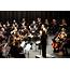Classical Music – Spring Hill Orchestra