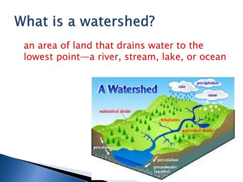 Ppt 20watersheds And River Basins Powerpoint Presentation Free