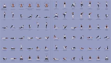 A Beginners Guide To Hatha Yoga