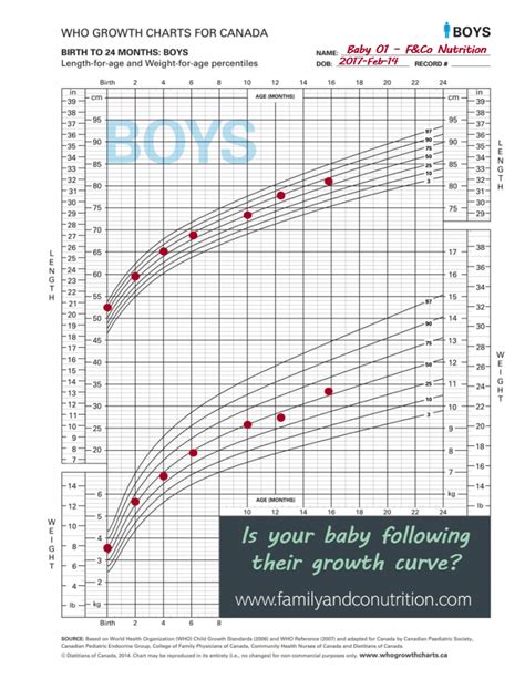 Growth Charts Everything You Need To Know About Your Childs Growth