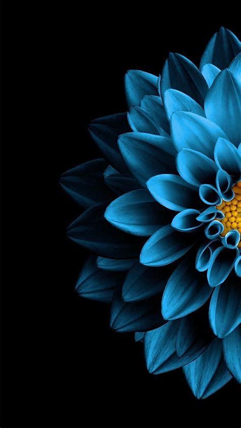 Blue Lotus Flower Wallpaper
