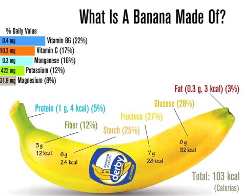 The Nutritional Value of Banana and Its Benefits to Your Diet | Banana ...