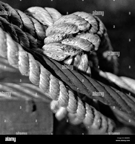 Bound Rope Black And White Stock Photos And Images Alamy