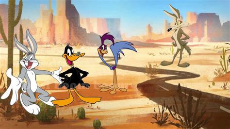 Road Runner Cartoon Wallpaper 69 Images