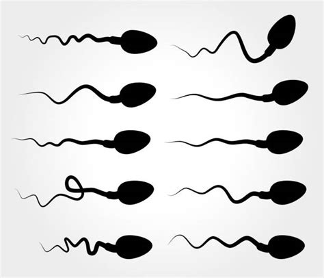 11100 Sperm Stock Illustrations Royalty Free Vector Graphics And Clip Art Istock