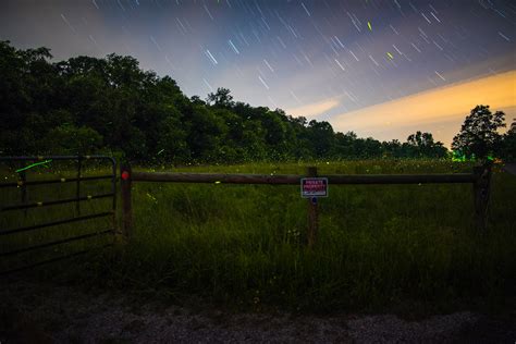 Firefly Photography Mike Lincoln Photography